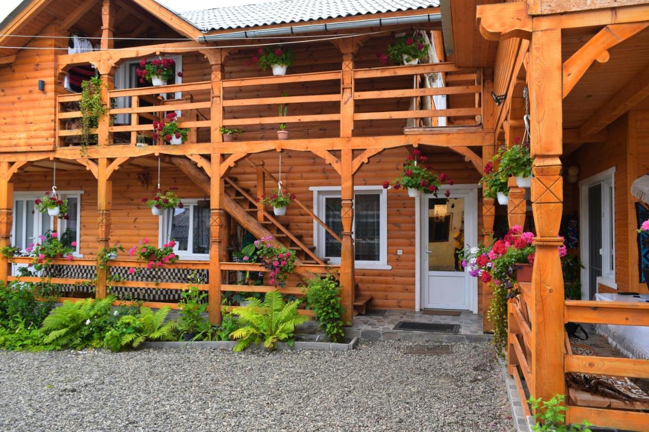 Casa Vladicu Hotel Breb Екстериор снимка