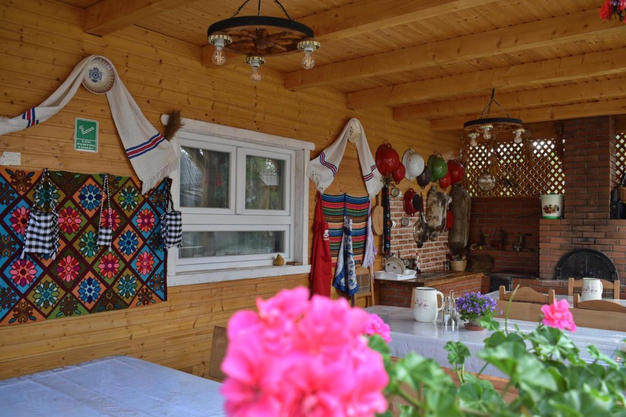 Casa Vladicu Hotel Breb Екстериор снимка