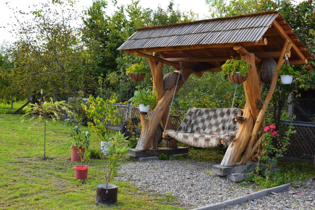 Casa Vladicu Hotel Breb Екстериор снимка