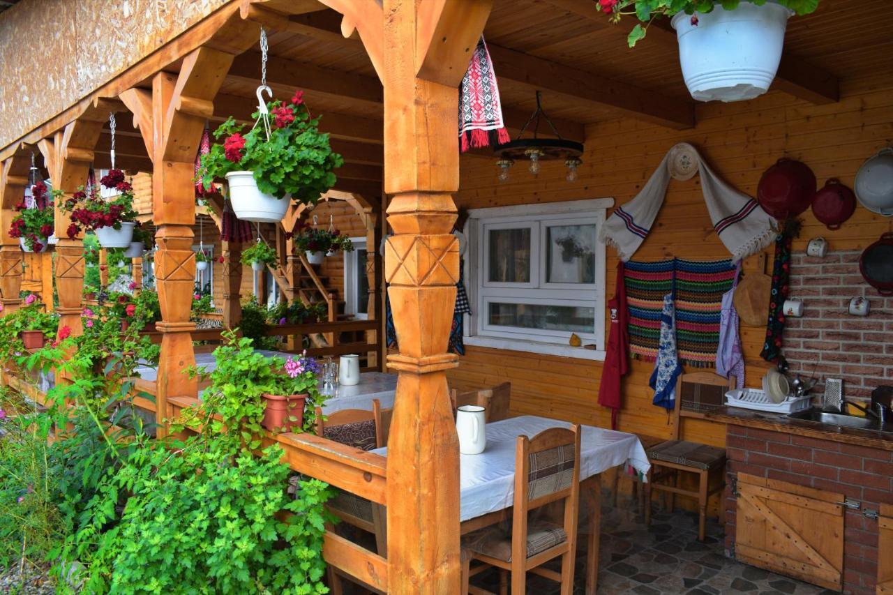 Casa Vladicu Hotel Breb Екстериор снимка