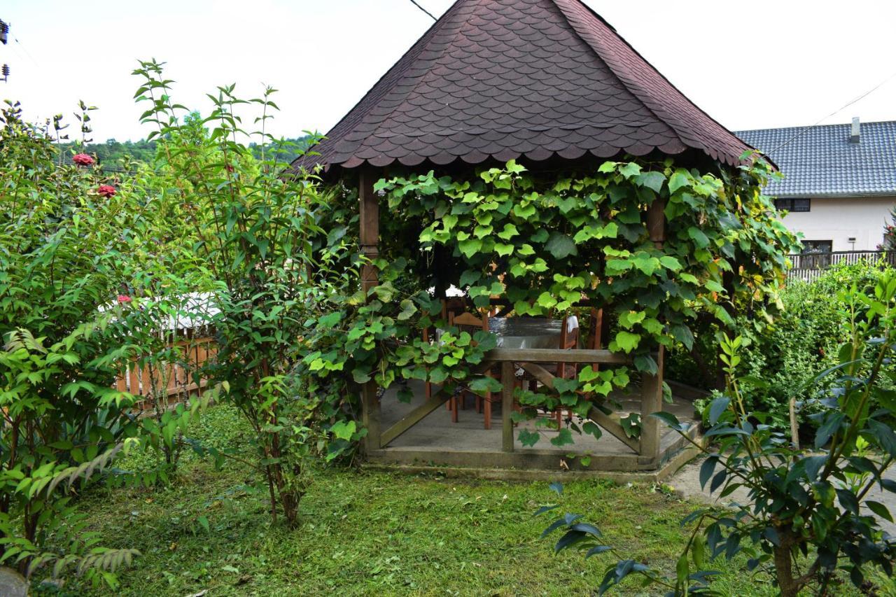 Casa Vladicu Hotel Breb Екстериор снимка